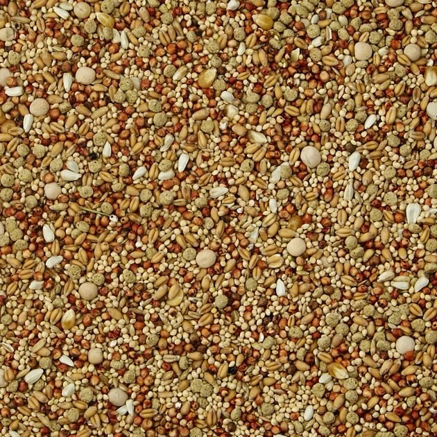 Kaytee Supreme Dove Food 4 Kaytee Supreme Dove Food - Image 4