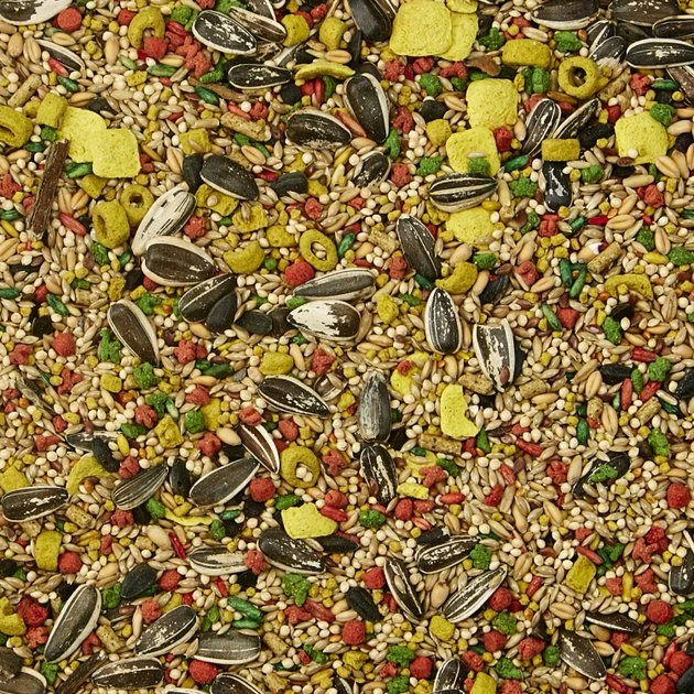 Kaytee Egg-Cite! Forti-Diet Pro Health Cockatiel Food 3 Kaytee Egg-Cite! Forti-Diet Pro Health Cockatiel Food - Image 3