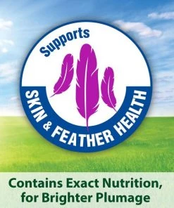 Kaytee Egg-Cite! Forti-Diet Pro Health Conure & Lovebird Food 12 Kaytee Egg-Cite! Forti-Diet Pro Health Conure & Lovebird Food -KAYTEE Sales Store 94946 PT5. SY630 V1610762764