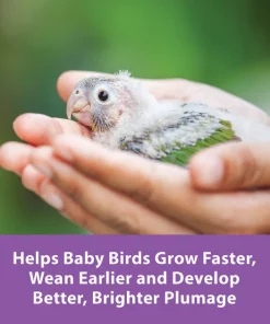 Kaytee Exact Handfeeding Baby Bird Food -KAYTEE Sales Store 94966 PT6. SY630 V1622777579