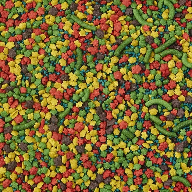 Kaytee Exact Rainbow Cockatiel Bird Food 5 Kaytee Exact Rainbow Cockatiel Bird Food - Image 5