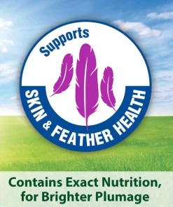 Kaytee Fiesta Variety Mix Macaw Food -KAYTEE Sales Store 95227 pt4. SY630 V1577495675