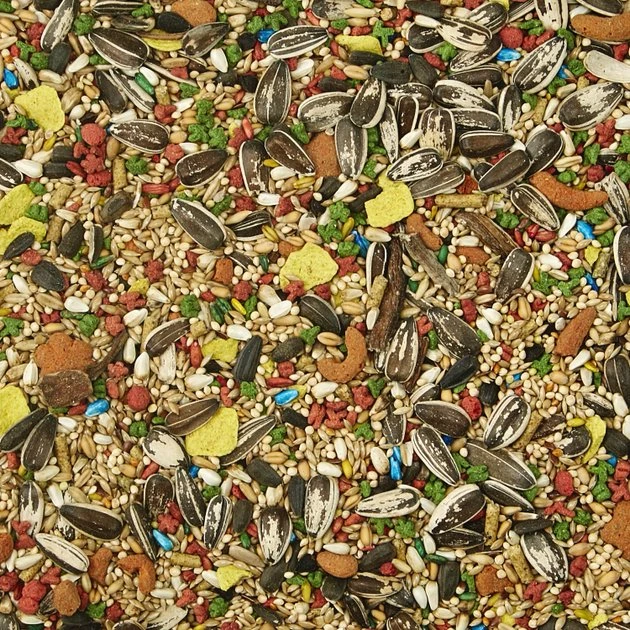 Kaytee Forti-Diet Pro Health Cockatiel Food 4 Kaytee Forti-Diet Pro Health Cockatiel Food - Image 4