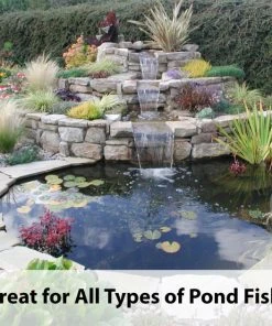 Kaytee Koi's Choice Premium Fish Food -KAYTEE Sales Store 95330 pt7. SY630 V1577495719