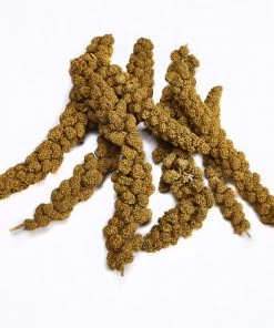 Kaytee Natural Spray Millet Bird Treats -KAYTEE Sales Store 95334 pt3. SY630 V1581516237