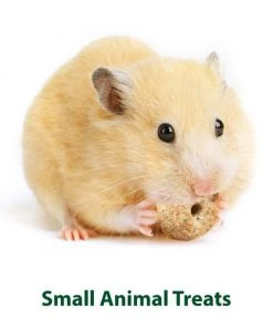 Kaytee Baked Apple Timothy Biscuit Small Animal Treats -KAYTEE Sales Store 95338 PT4. SY630 V1569330664