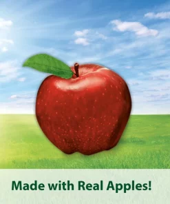 Kaytee Baked Apple Timothy Biscuit Small Animal Treats -KAYTEE Sales Store 95338 PT5. SY630 V1569330725