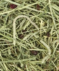 Kaytee Timothy Hay Plus Cranberries Small Animal Treat -KAYTEE Sales Store 95344 PT2. SY630 V1618873930