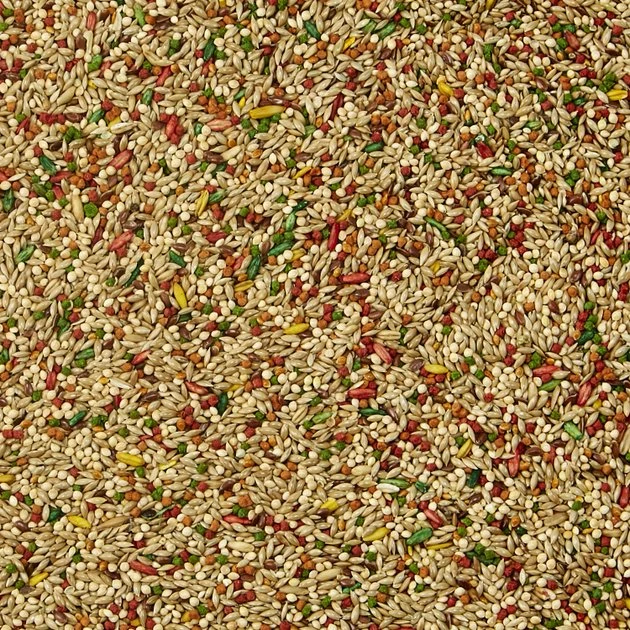 Kaytee Forti-Diet Pro Health Parakeet Food 4 Kaytee Forti-Diet Pro Health Parakeet Food - Image 4