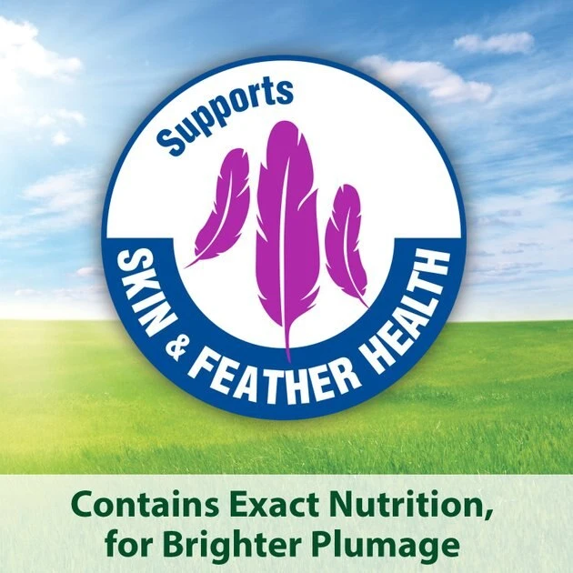 Kaytee Forti-Diet Pro Health Parakeet Food 6 Kaytee Forti-Diet Pro Health Parakeet Food - Image 6