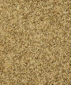 Kaytee Supreme Parakeet Food 8 Kaytee Supreme Parakeet Food -KAYTEE Sales Store 95435 PT3. SY630 V1591017826