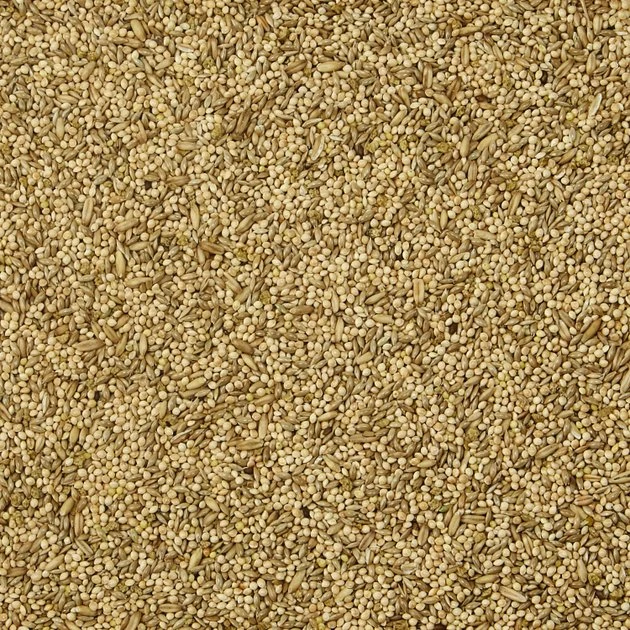 Kaytee Supreme Parakeet Food 4 Kaytee Supreme Parakeet Food - Image 4