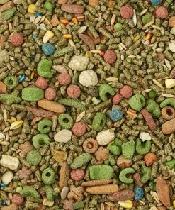 Kaytee Fiesta Gourmet Variety Diet Guinea Pig Food -KAYTEE Sales Store 95489 PT2. SY630 V1607738534