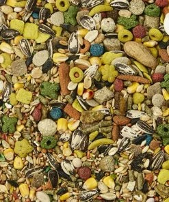 Kaytee Fiesta Gourmet Variety Diet Mouse & Rat Food -KAYTEE Sales Store 95500 PT2. SY630 V1607731330