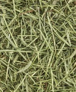 Kaytee Natural Timothy Hay Small Animal Food 12 Kaytee Natural Timothy Hay Small Animal Food -KAYTEE Sales Store 95554 PT3. SY630 V1621378385