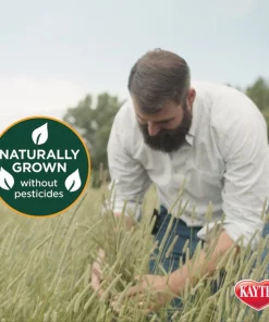 Kaytee Natural Timothy Hay Small Animal Food 13 Kaytee Natural Timothy Hay Small Animal Food -KAYTEE Sales Store 95554 PT4. SY630 V1621374523