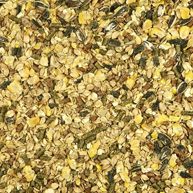 Kaytee Supreme Fortified Daily Diet Gerbil & Hamster Food 4 Kaytee Supreme Fortified Daily Diet Gerbil & Hamster Food - Image 4