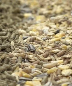 Kaytee Supreme Fortified Daily Diet Rabbit Food 11 Kaytee Supreme Fortified Daily Diet Rabbit Food -KAYTEE Sales Store 95589 PT6. SY630 V1621375360