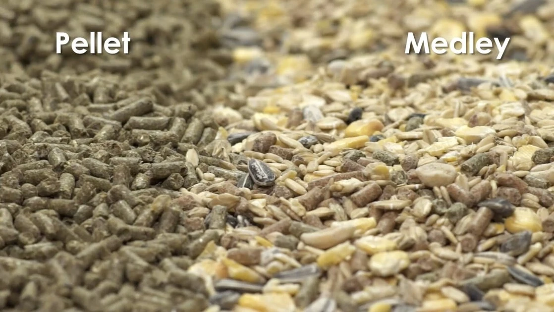 Kaytee Supreme Fortified Daily Diet Rabbit Food 6 Kaytee Supreme Fortified Daily Diet Rabbit Food - Image 6