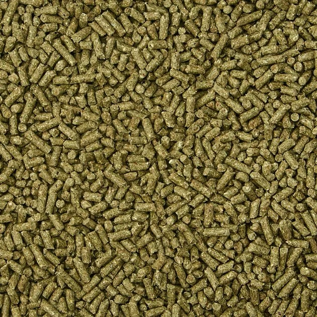 Kaytee Supreme Fortified Daily Diet Rabbit Food 3 Kaytee Supreme Fortified Daily Diet Rabbit Food - Image 3