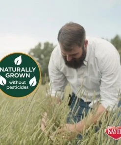 Kaytee Timothy Hay Plus Carrots Small Animal Food -KAYTEE Sales Store 95614 PT4. SY630 V1618877547