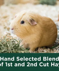 Kaytee Timothy Hay Plus Carrots Small Animal Food -KAYTEE Sales Store 95614 PT7. SY630 V1618875783