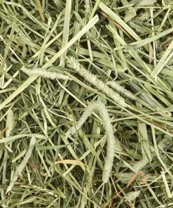 Kaytee Timothy Hay Plus Mint Small Animal Food -KAYTEE Sales Store 95618 PT7. SY630 V1621905182