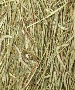 Kaytee Timothy Hay Wafer-Cut Small Animal Food -KAYTEE Sales Store 95623 PT7. SY630 V1621898047