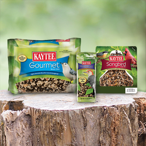 Kaytee Pet Shop 32 Kaytee Pet Shop -KAYTEE Sales Store 23523